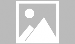 91赵先生直播间